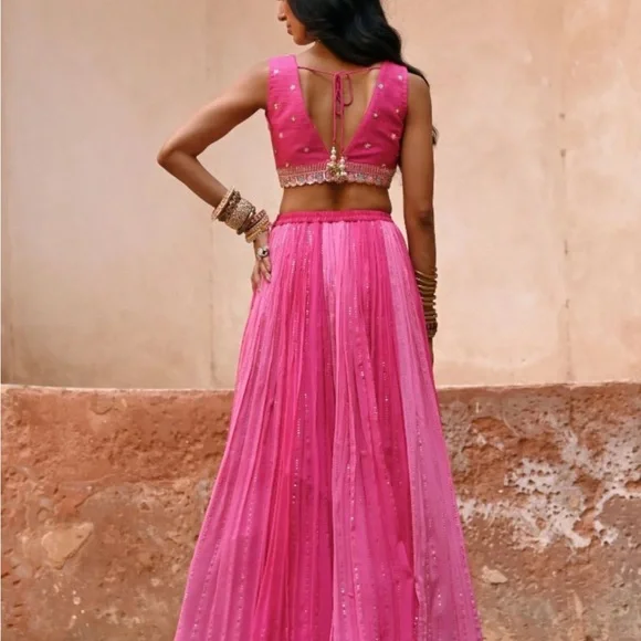 Chamee and Palak Ombré lehenga - pink - Picture 3 of 5